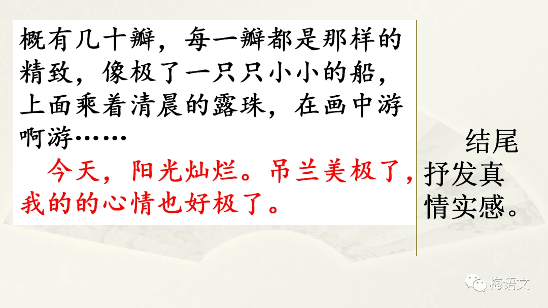 制定篮球交流计划以促进个人技能发展的方法_1